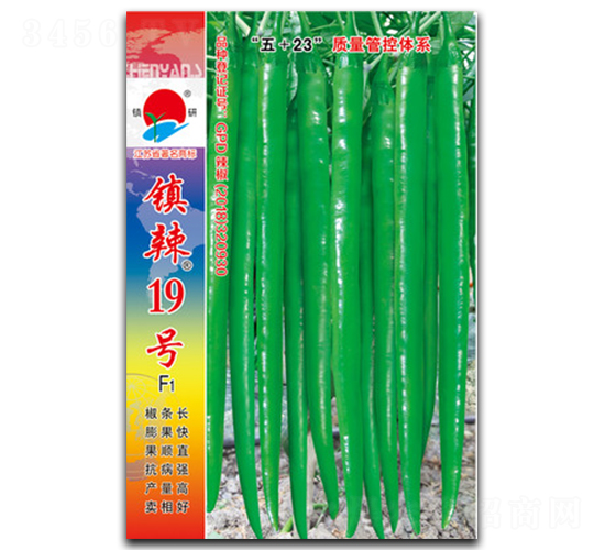 ����19��-�߽�����-������ҵ
