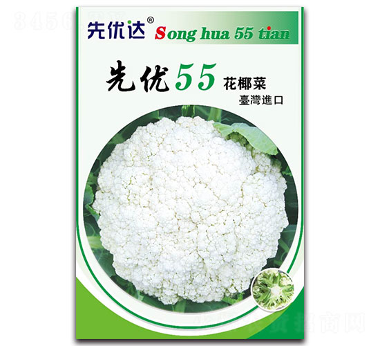 ����55-��Ҭ������-���Ŵ�