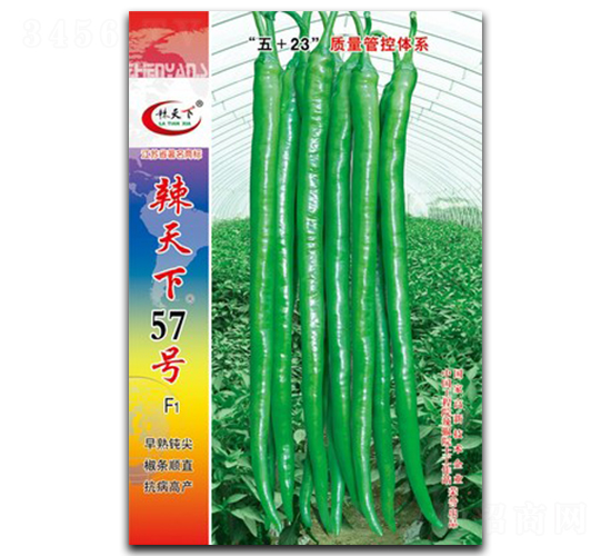 ������57��-�߽�����-������ҵ