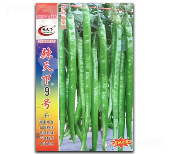������9��-�߽�����-������ҵ