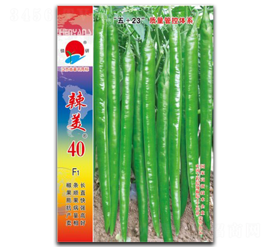����40-�߽�����-������ҵ