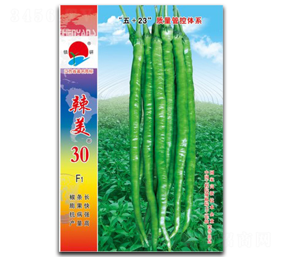 ����30-�߽�����-������ҵ