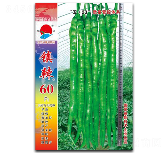 ����60-�߽�����-������ҵ
