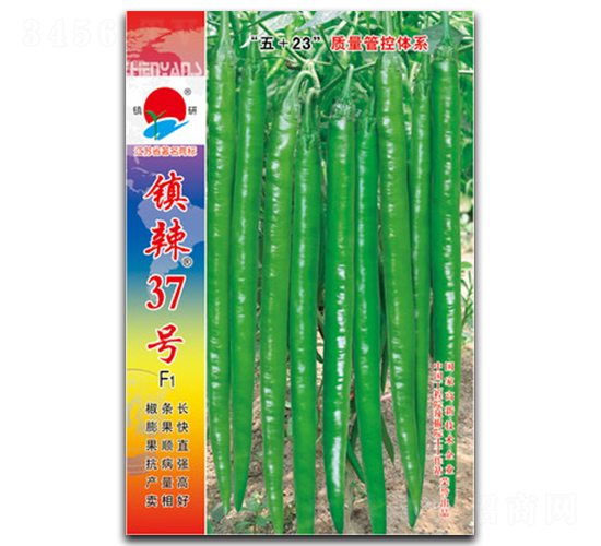 ����37��-�߽�����-������ҵ