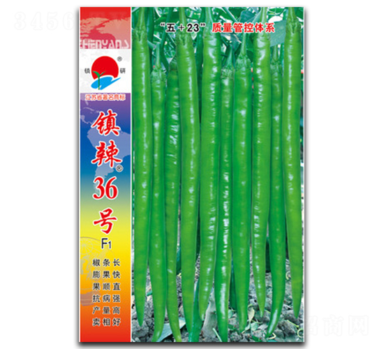 ����36��-�߽�����-������ҵ