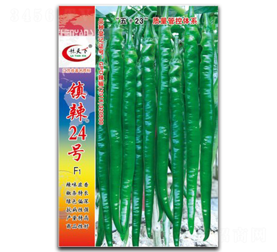 ����24��-�߽�����-������ҵ