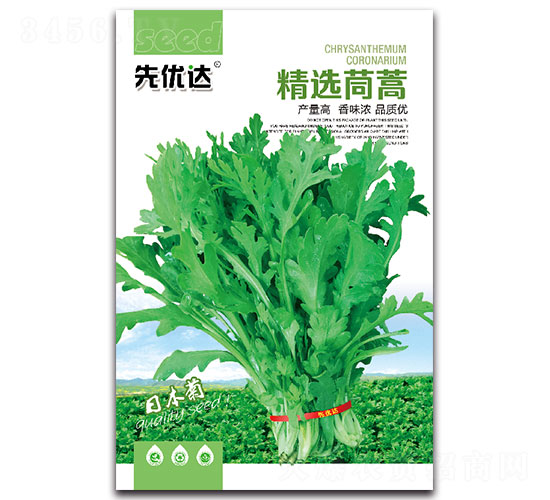 ��ѡ����-��������-���Ŵ�