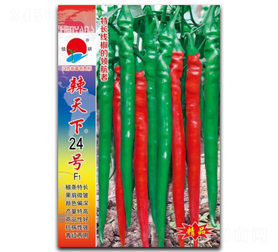 ������24��-�߽�����-������ҵ