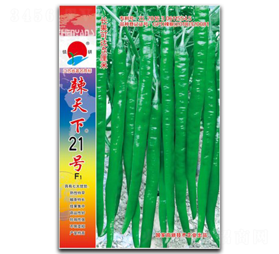 ������21��-�߽�����-������ҵ