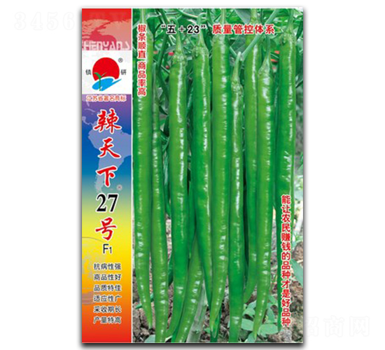 ������27��-�߽�����-������ҵ