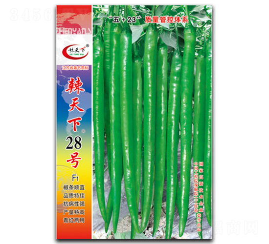 ������28��-�߽�����-������ҵ