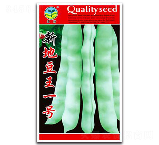 �����µض���һ��-�ض�����-����