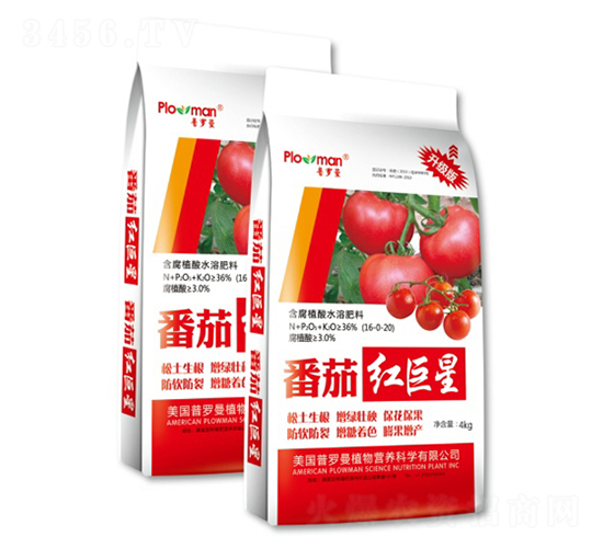 ����ֲ��ˮ�ܷ���-���Ѻ����-�����ҵ