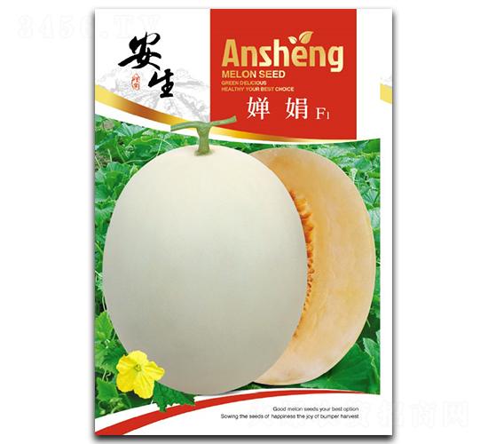 濾�-�������-����