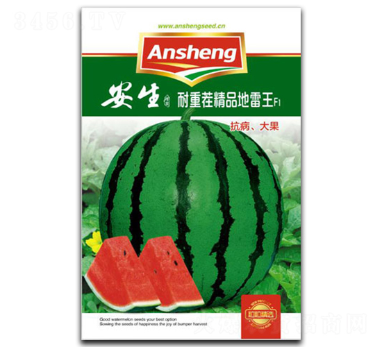 ���ز羫Ʒ������-��������-����