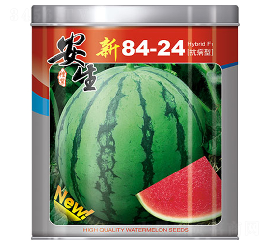 ��8424-��������-����