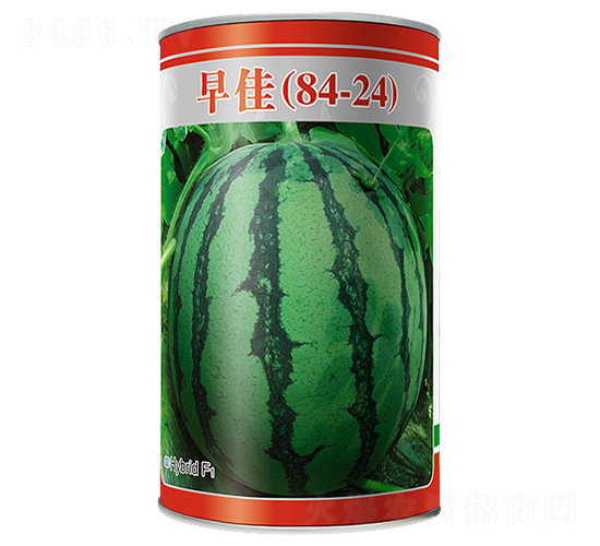 ���84-24-��������-����