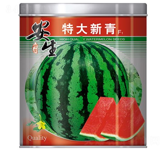 �ش�����-��������-����