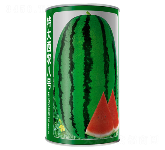�ش���ũ�˺�-��������-����
