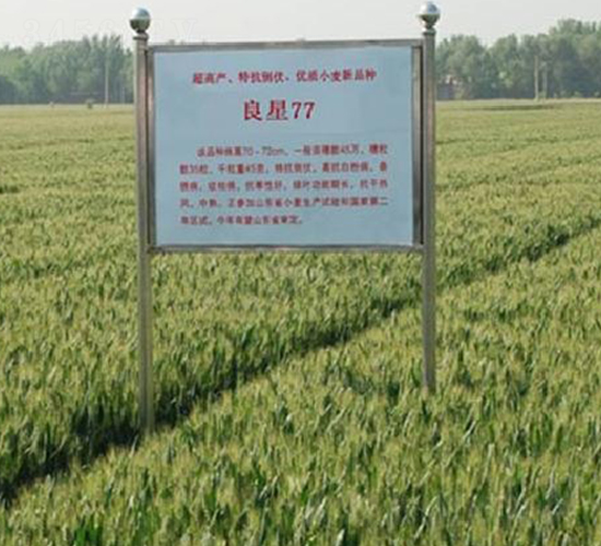 ����77-С������-������ҵ