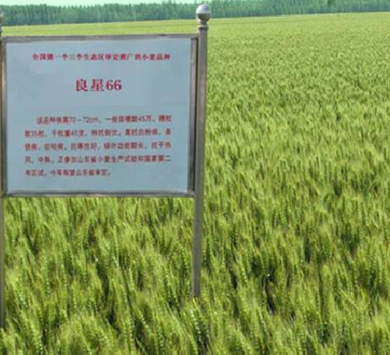 ����66-С������-������ҵ