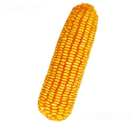 ũ��116-��������-ԣ����ҵ