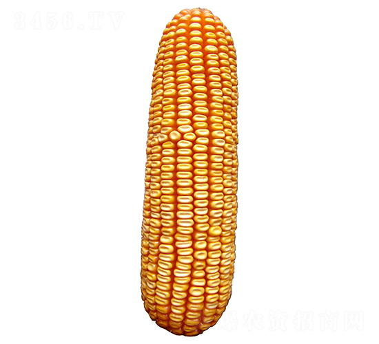 ����309-��������-ԣ����ҵ