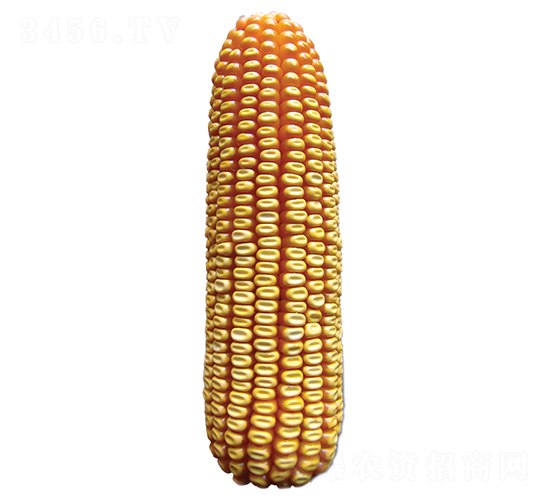���612-��������-ԣ����ҵ