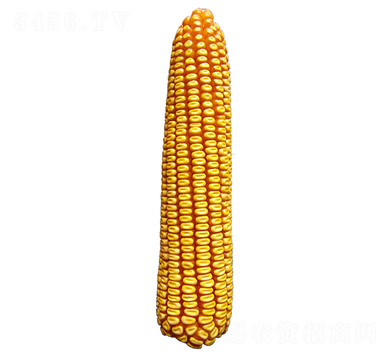 ���811-��������-ԣ����ҵ