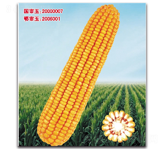 �Ǻ�9��-��������-��ͷ��