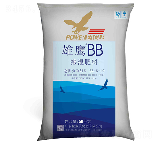 �������26-6-19-��ӥBB-������
