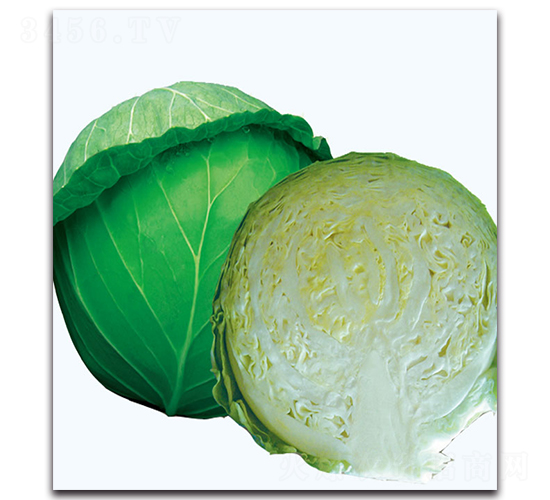 ����������-��������-�ִ�����