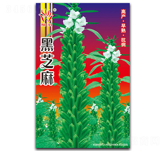 ��֥��-֥������-������ҵ