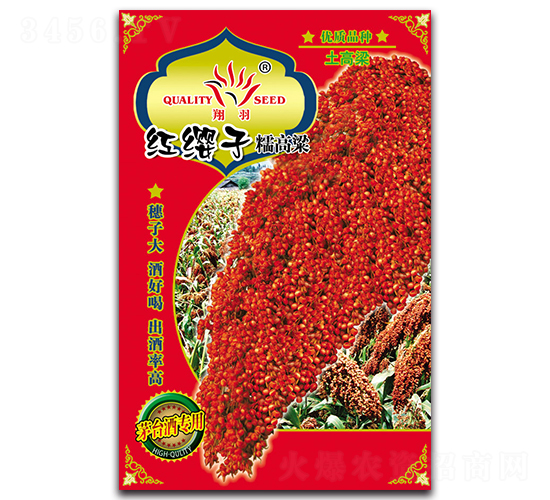 ��ӧ��Ŵ����-��������-������ҵ