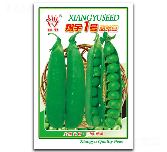 ����1�����㶹-�㶹����-������ҵ