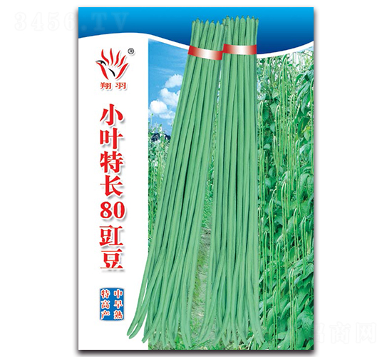 СҶ�س�80����-��������-������ҵ