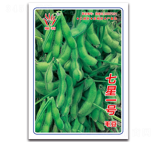 ����һ��ë��-ë������-������ҵ