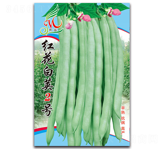 �컨�׼�2��-��������-������ҵ