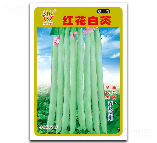 �컨�׼�-��������-������ҵ