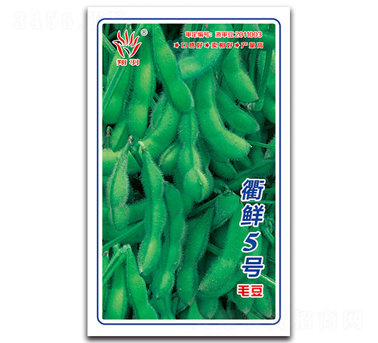 ����5��-ë������-������ҵ