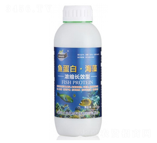1000ml�㵰�ס�����-������