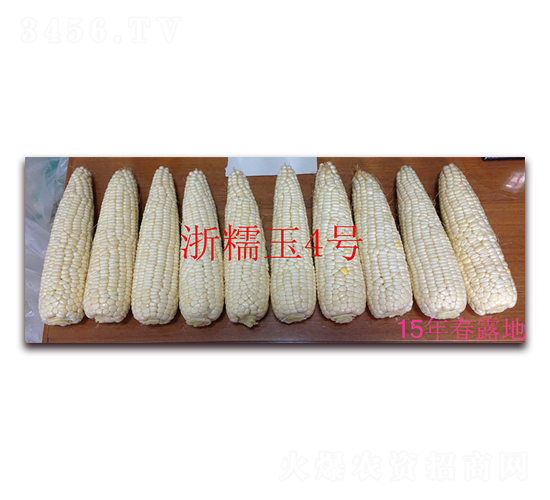 ��Ŵ���ĺţ�15�괺¶�أ�-Ŵ��������-������ҵ