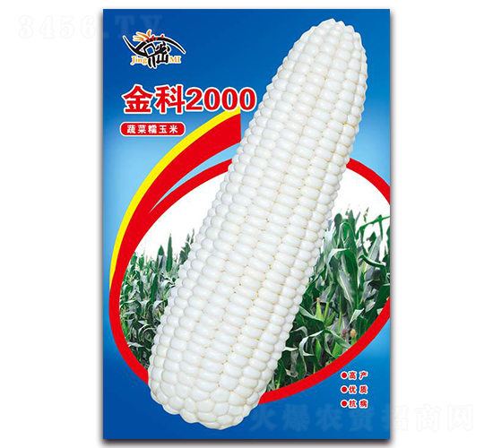 ���2000-Ŵ��������-������ҵ
