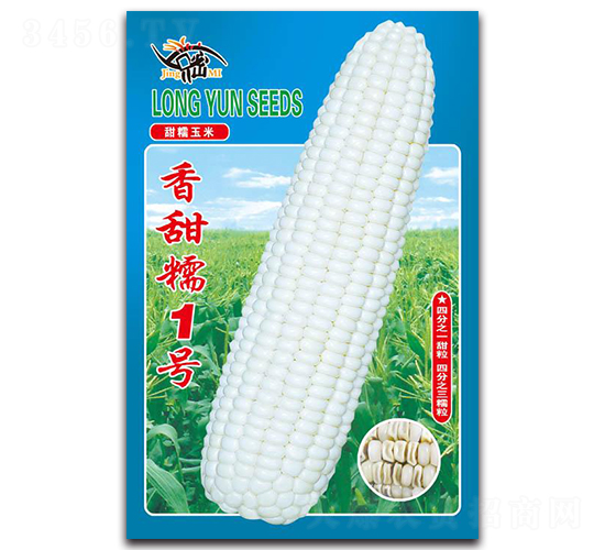 ����Ŵ1��-Ŵ��������-������ҵ