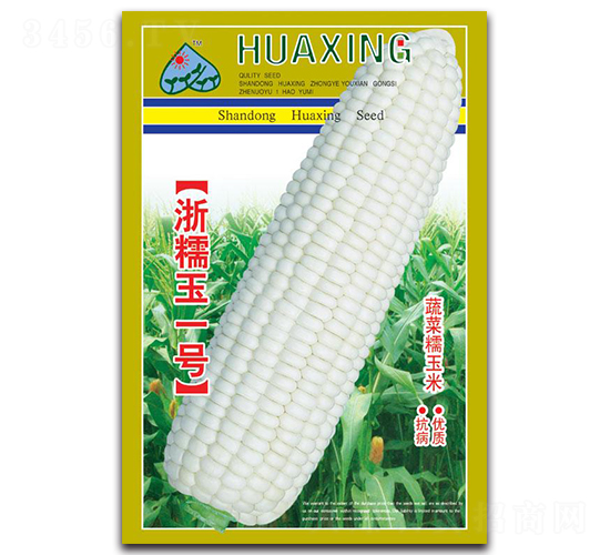 ��Ŵ��һ��-Ŵ��������-������ҵ