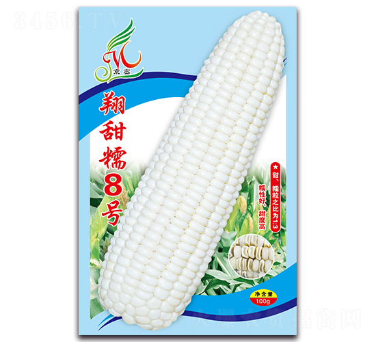 ����Ŵ8��-Ŵ��������-������ҵ