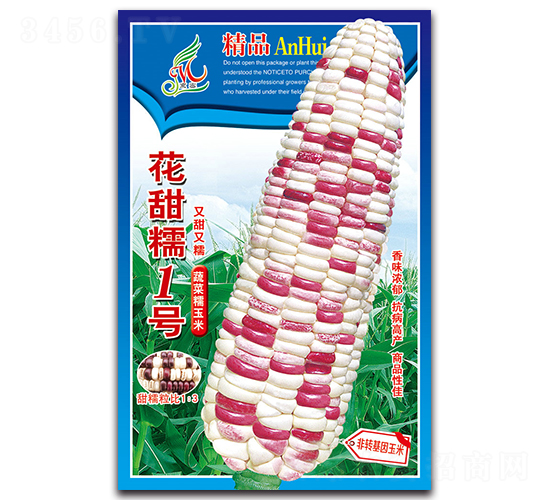 ����Ŵ1��-Ŵ��������-������ҵ