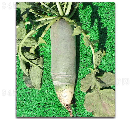 ³�ܲ�һ��-�ܲ�����-³����ҵ