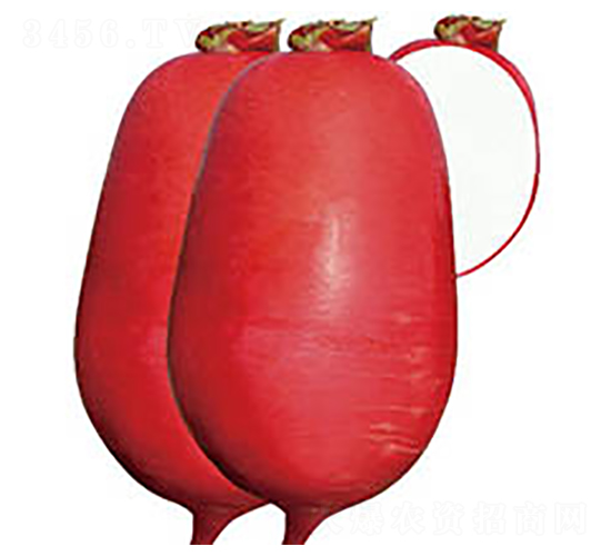 �������1��-�ܲ�����-³����ҵ