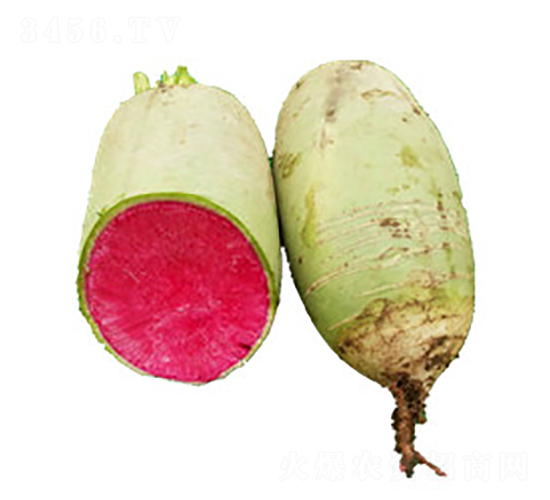��³�ܲ�����-�ܲ�����-³����ҵ